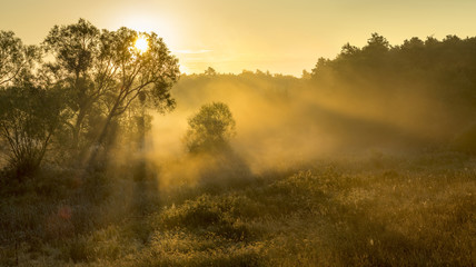 beautiful, misty morning over the valley