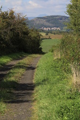 Fototapeta na wymiar vue du puy d'Ysson, Auvergne