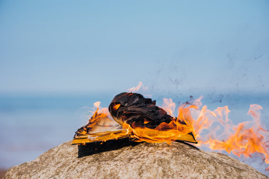Book in fire flames