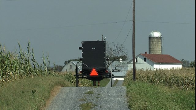 Amish horse and buggy moving away