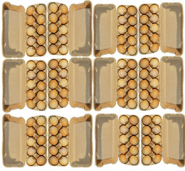 Twelve carton packages of ten brovn eggs isolated on white