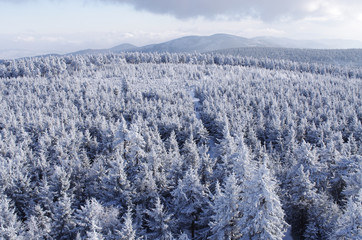 Winter landsape