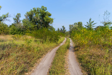 Fototapeta na wymiar rural ground road through a countryside