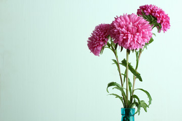 Obraz premium Astra in blue vase on the defocused background
