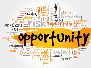 Opportunity and success word cloud, business concept