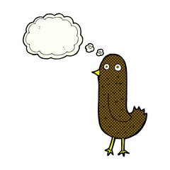 funny cartoon bird with thought bubble