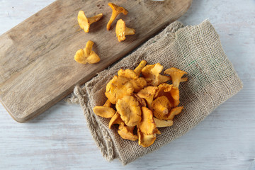 cantharellus mushrooms