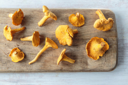 cantharellus mushrooms
