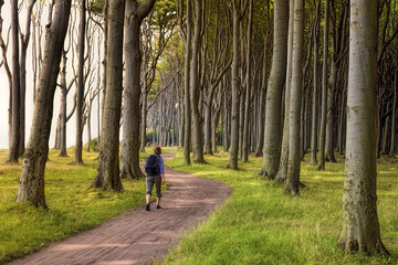 Gespensterwald Nienhagen Wanderer
