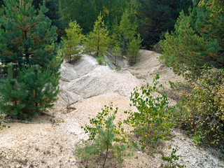 Насыпь © sores