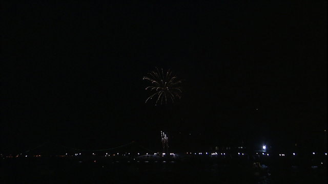 Ellis island Fireworks & Verrazano Br