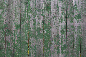 Green old background