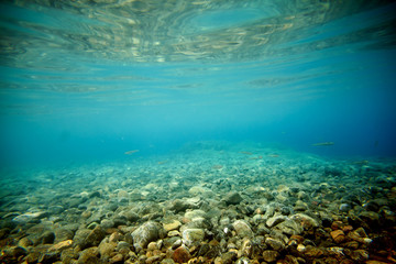 Fototapeta na wymiar beach underwater
