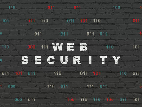 Web development concept: Web Security on wall background