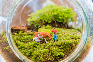 Miniature people and a cow are in the Terrarium.