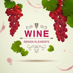 Vector Illustration of a Decorative Wine Background with Wine Grapes