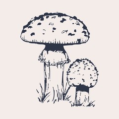 Vector Illustration of Hand Drawn Mushrooms