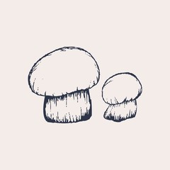 Vector Illustration of Hand Drawn Mushrooms