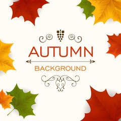 Vector Illustration of an Autumn Design with Autumnal Leaves
