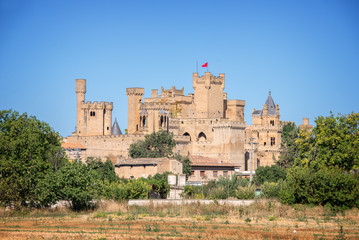 Fototapeta na wymiar Olite medieval castle in Navarra, Spain