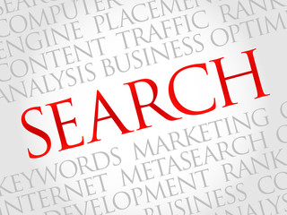 SEARCH word cloud, business concept