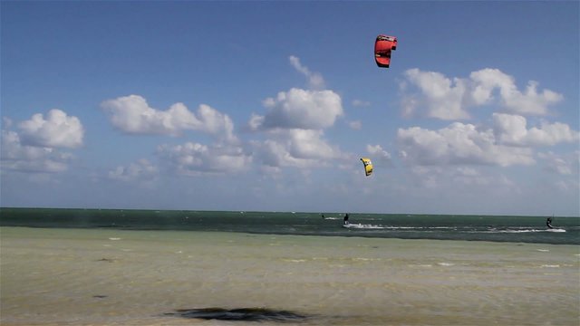 People engage in the fast moving sport kite boarding  along a sunny coast.