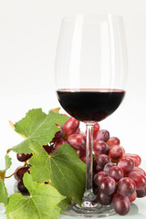 Weintrauben mit Weinblättern und Rotwein im Weinglas