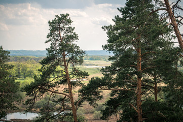 Fototapeta premium dramatic landscape