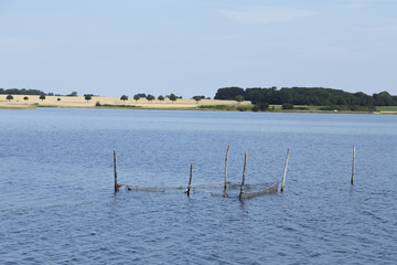 Fototapeta premium Stellnetze im See
