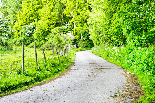 Rural road