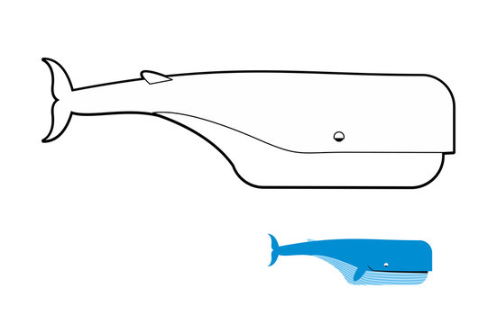 Sperm whale coloring book. Blue whale vector illustration