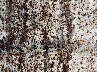 Old rusty metal wall texture.