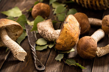 Wild mushroom on table and rough knife
