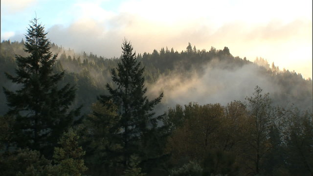 ZM into fog & mtns