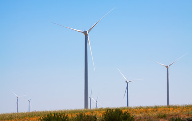 Wind farm at farmland in summer