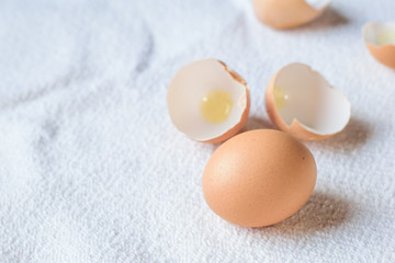 chicken eggs