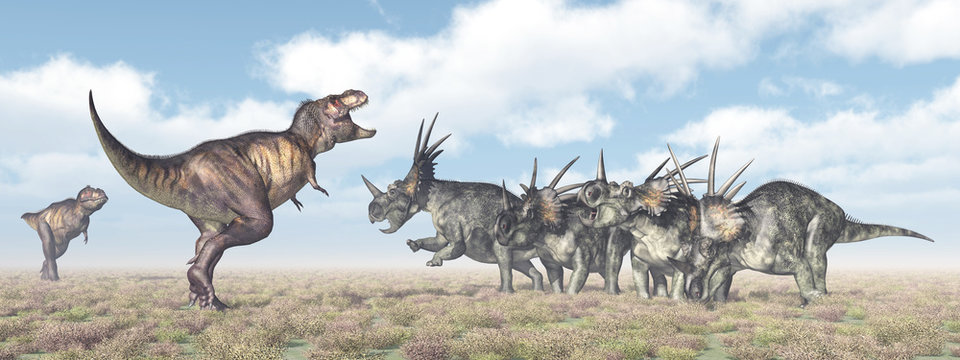 Tyrannosaurus Rex and Styracosaurus