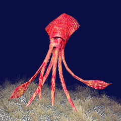 Squid © Michael Rosskothen