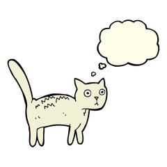 cartoon frightened cat with thought bubble