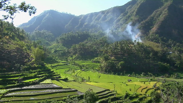 Mist seeps down a mountainside above green, terraced rice paddies.