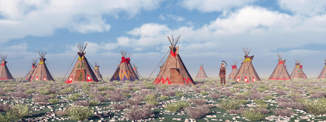 Indian Camp © Michael Rosskothen