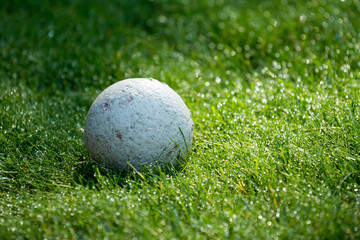 Ball on Grass