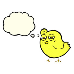 funny cartoon bird with thought bubble