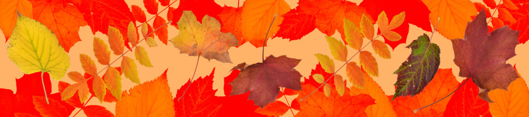 goldener Herbst, fallende Blätter 