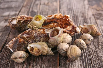 Crédence de cuisine en verre imprimé Crustacés oyster and clam