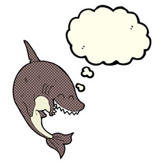 cartoon shark with thought bubble