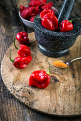 Habanero Red - very strongly hot pepper