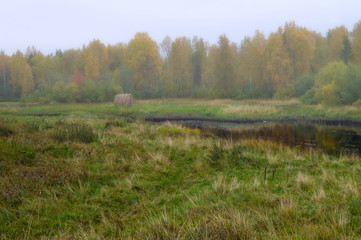 Пруд у леса © marinasokolchik