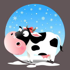 Cow in snow with snowflake on nose