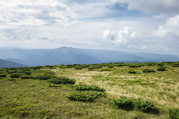 scenic edge of the Carpathian Mountains. Ukraine